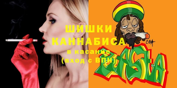 стафф Тайга