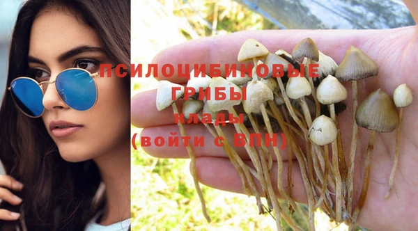 круглые Сясьстрой