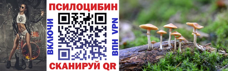Галлюциногенные грибы GOLDEN TEACHER  Нижний Новгород 